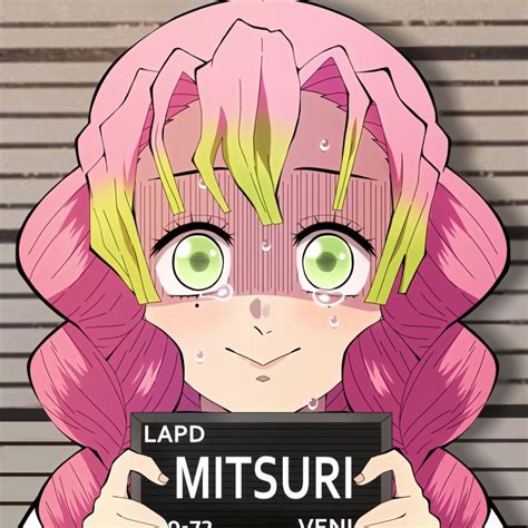Kny Pfps Mitsuri Kanroji Créditos de pin kageinu1 5 Anime