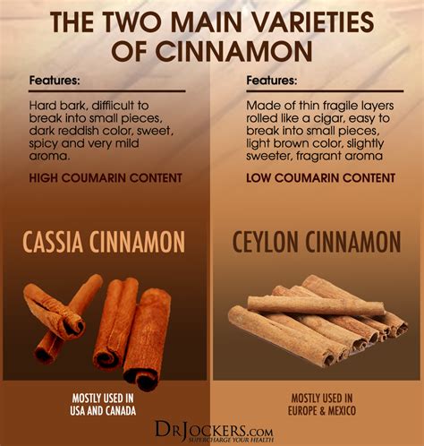 What Is The Best Cinnamon To Use