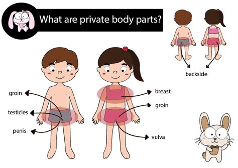 Funny Private Body Parts