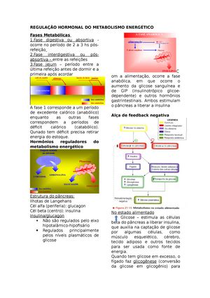 Resumo Potencial De A O Fisiologia Humana Potencial De O