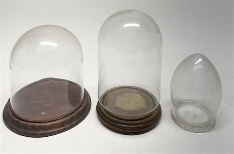 Lot Three Specimen Domes Two With Timber Glass Bases