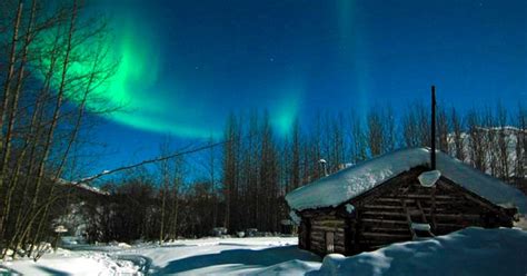 Fairbanks Northern Lights Tours Our Guide To The Best Alaskaorg