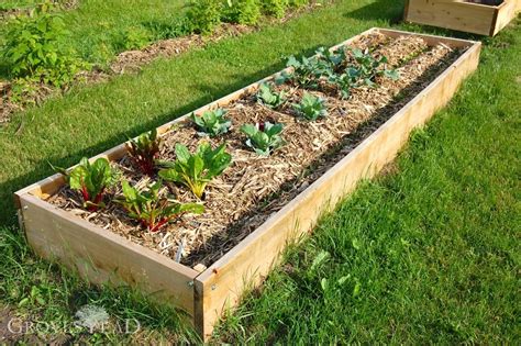 Building Raised Bed Gardens Step By Step The Grovestead