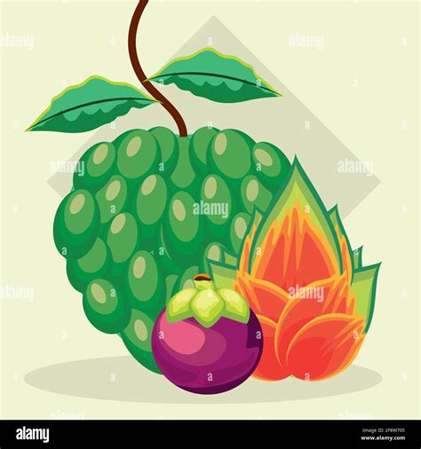 Delicious Tropical Fruits Stock Vector Image And Art Alamy