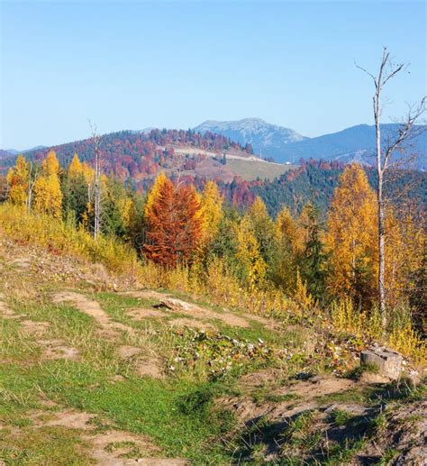 Morning Autumn Carpathians Landscape Stock Image Image Of Nature