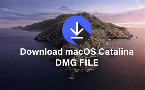 Download Macos Catalina Dmg File Downwfiles