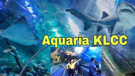 Aquaria Klcc Kuala Lumpur Malysia 🇲🇾 Youtube
