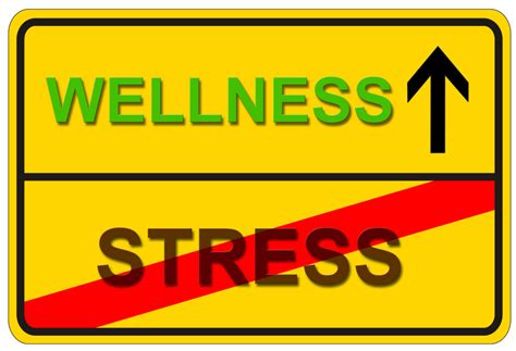 Stress The Manageable Barrier Between You And A Happier Healthier