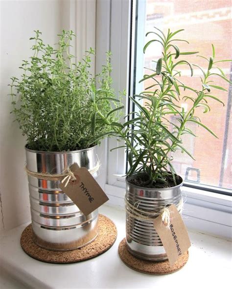 Read this article to find out when to prune lavender plants, and learn exactly how to prune lavender (diy indoor herb planters). 8 Herb Garden DIYs to Keep Your Favorite Flavors at Hand ...