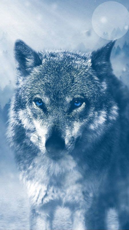 Galaxy Wolf Exquisite Wolf Wallpaper Download Mobcup