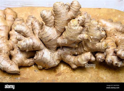 Group Of Fresh Gember Roots Used For Cooking And Medicine Stock Photo