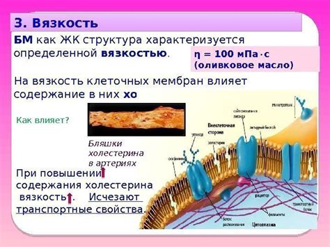 Лекция 5 Биологические мембраны; Биоэлектрогенез Ростов-на-Дону