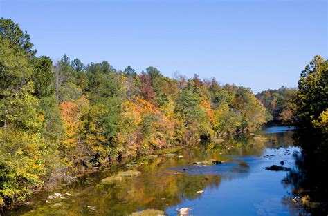 Cahaba River Most Beautiful River In Alabama