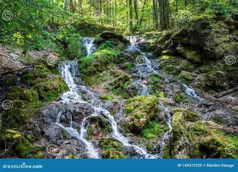 Forest Mountain River With Waterfall Over The Rocks Stock Image Image