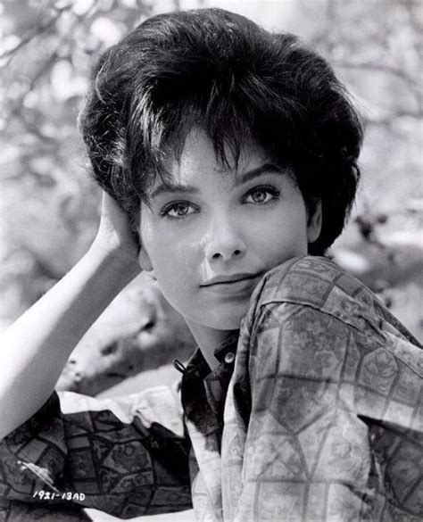 40 Glamorous Photos Of Suzanne Pleshette In The 1960s Vintage Everyday