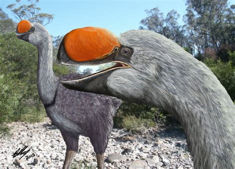 Researcher discovers ancestor of biggest bird ever