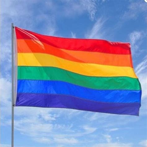 Regenboogvlag Lgbt Gay Pride Regenboog Vlag Grote Homo Lgbtq Rainbow Flag 100