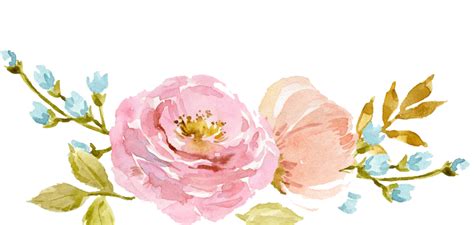 Watercolor Flowers Png No Background Png Mart