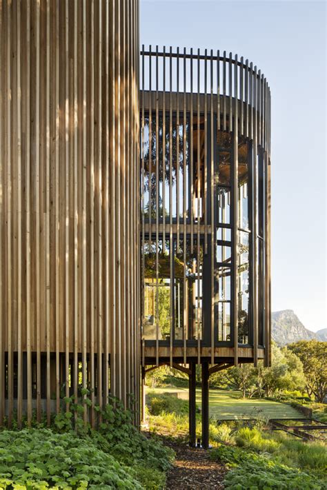 Tree House Malan Vorster Architecture Interior Design Archdaily