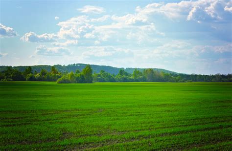 Green Fields Free Stock Photo Public Domain Pictures