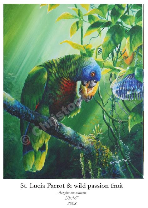 Parrots Chris Cox Originals