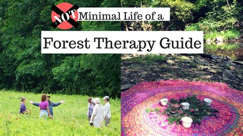 Forest Therapy Guide Salary Forest Therapy Guide Training Overview