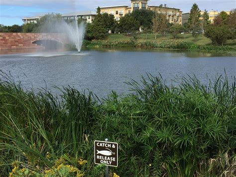 1201 barbara jordan blvd 700. Mueller Lake Park in Austin | Mueller Lake Park 4550 ...