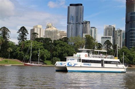 Lone Pine Koala Sanctuary Admission With Brisbane River Cruise