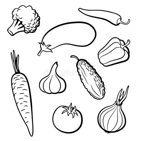 Set Of Outline Vector Vegetables Stock Vector Illustration Of Tomato