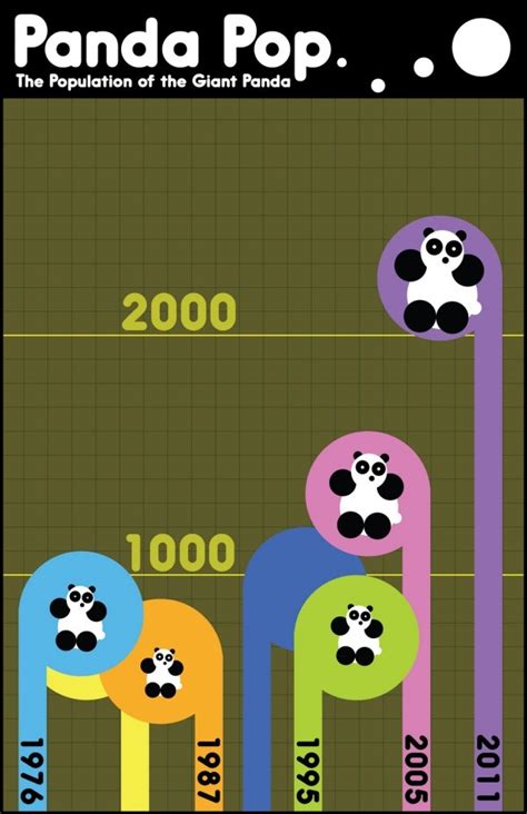 Giant Panda Population With Images Giant Panda Panda Infographic