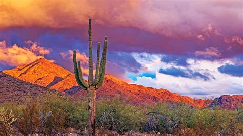 Vibrant Sunset In North Scottsdale Arizona Sky Cactus Desert Cloud