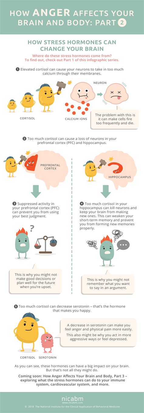 How Anger Affects The Brain And Body Infographic Part 2 Nicabm