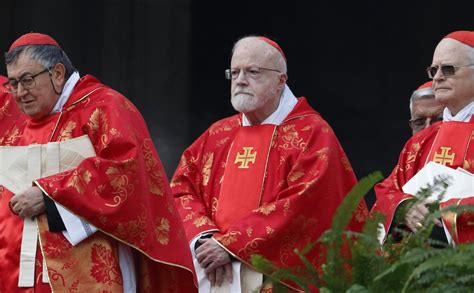 Safeguarding Requires Experts Survivors Support Cardinal Says The Catholic Sun