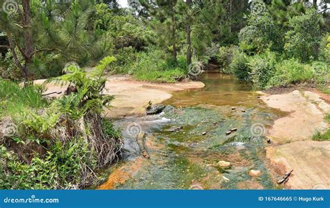 Flowing Rapid Wild River In The South Of Brazil Stock Image Image Of