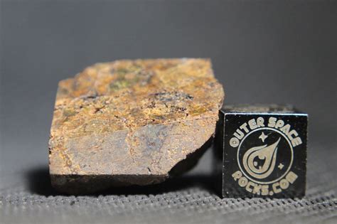 Nwa 11901 Primitive Achondrite Lodranite Meteorite 83 Gram Partial Cut