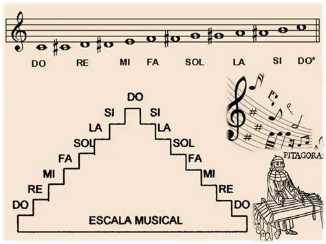 Características Y Tipos De Escalas Musicales Musicasencilla
