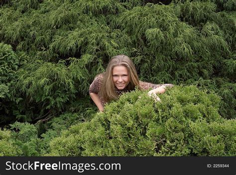 Cute Girl Hiding In Bushes Free Stock Images And Photos 2259344