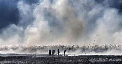 Nu au fost raportate victime, ci doar pagube pentru lichidarea incendiului au intervenit 4 echipe de pompieri. Un nou incendiu de proporții în Periș la batalurile unei foste ferme de porci. Oamenii ...