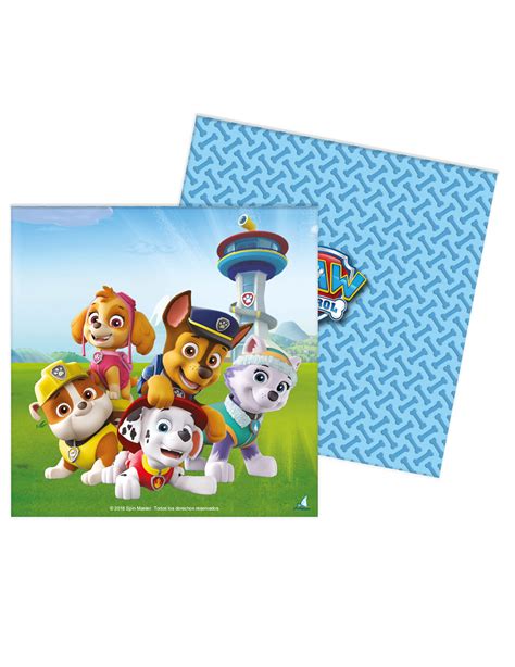 Kit Anniversaire Pat Patrouille