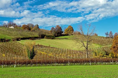 Info su banche, scuole, annunci, cap, prefissi, statistiche e altri dati utili. Weekend in Emilia Romagna: nella bassa parmense con Radio ...