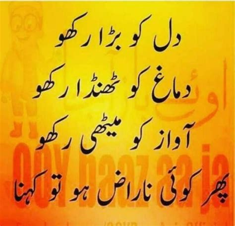 Funny Quotes With Pictures In Urdu Funny Memes
