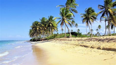 República Dominicana Tiene Una De Las 25 Mejores Playas Del Mundo Del