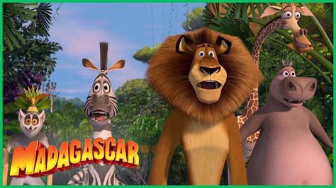 Alex conhece a natureza DreamWorks Madagascar em Português YouTube