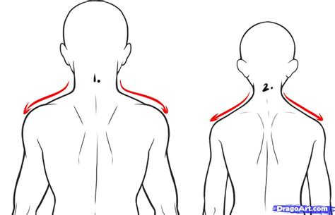 How To Draw A Back Step By Step Anatomy People Free Online Drawing