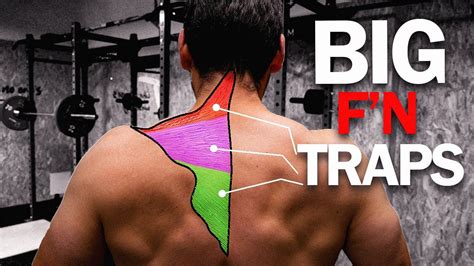 Get Yoked Traps Upper Middle And Lower Youtube