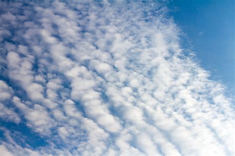 Free Images Nature Horizon Cloud Sky Sunlight Daytime Cumulus