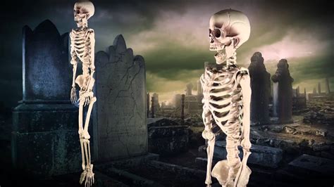 Huge Titan Skeleton Decoration Youtube