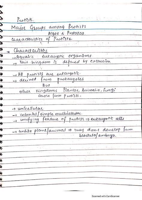 Solution Kingdom Protista Definition Characteristics And Examples