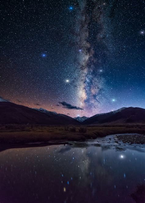 Starry sky | Smithsonian Photo Contest | Smithsonian