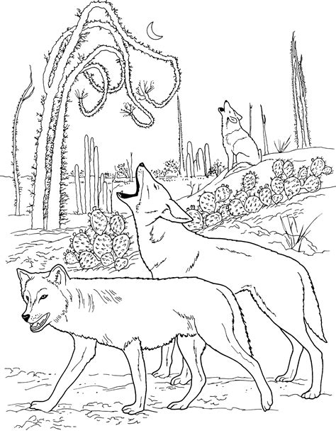 Free Wolf Coloring Pages